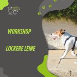 Lockere Leine Workshop
