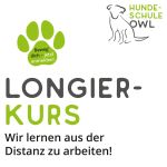 Longierkurs - Wir lernen aus der Distanz zu arbeiten!
